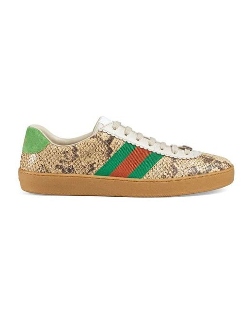 Gucci Natural G74 Python Sneaker With Web for men