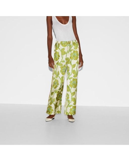 Pantaloni In Twill Di Seta Con Stampa Floreale di Gucci in Green