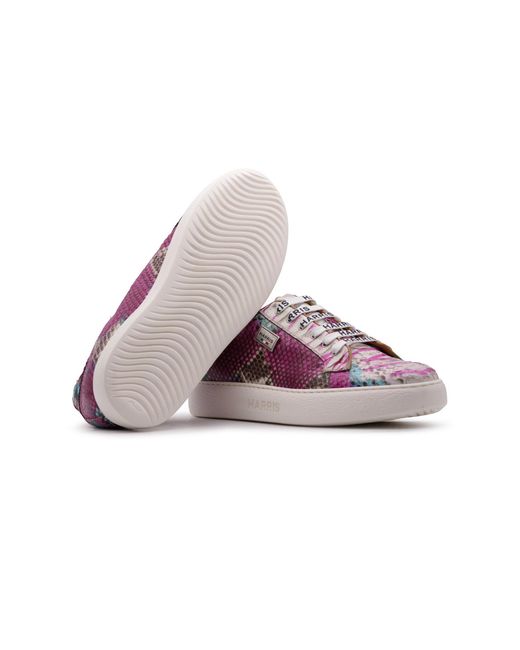 Harris Shoes 1913 Purple Python Sneakers for men