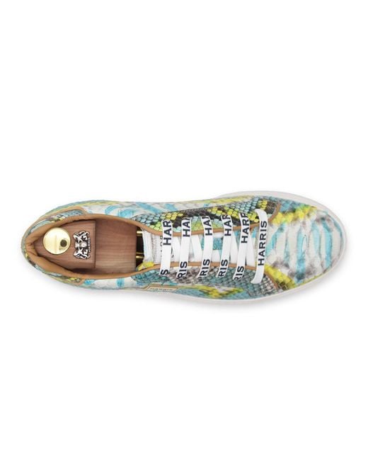 Harris Shoes 1913 Blue Python Sneakers for men