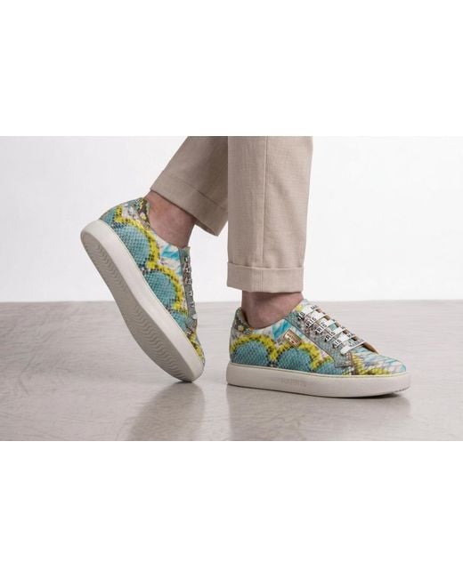 Harris Shoes 1913 Blue Python Sneakers for men