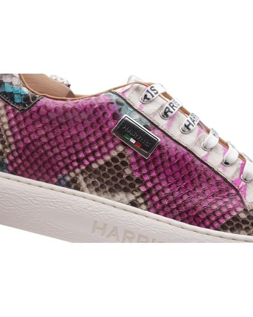 Harris Shoes 1913 Purple Python Sneakers for men