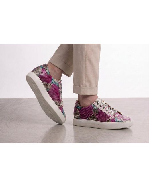 Harris Shoes 1913 Purple Python Sneakers for men