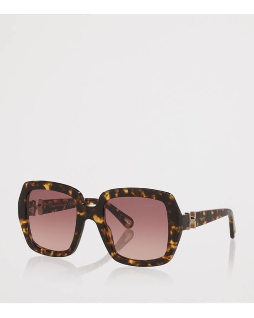Chloé Brown Ch0301S Rectangle Sunglasses