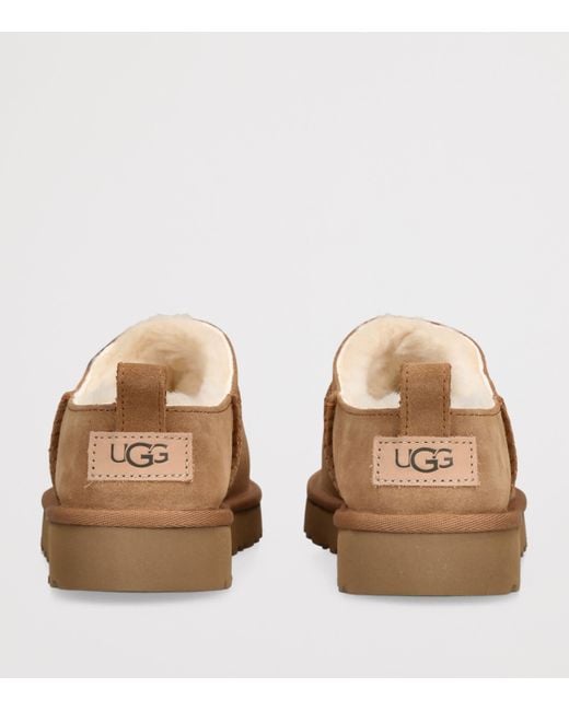 Ugg Brown Suede Classic Micro Boots
