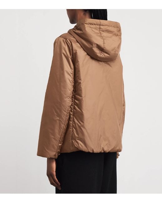 Max Mara Brown Water-Repellent Padded Jacket