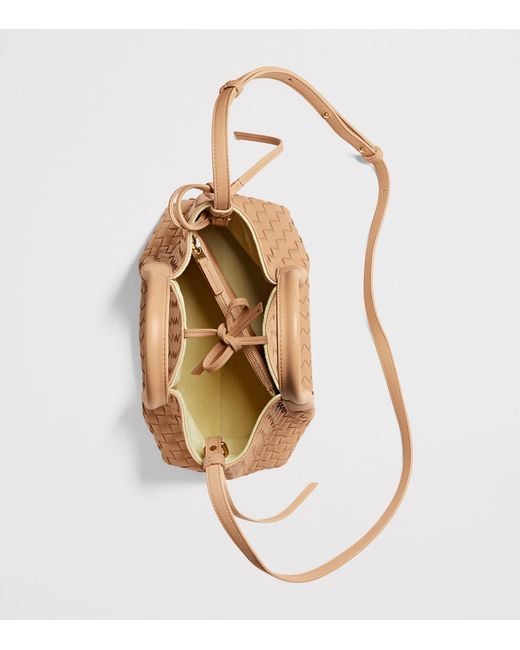 Bottega Veneta Brown Small Leather Intrecciato Pinacoteca Tote Bag