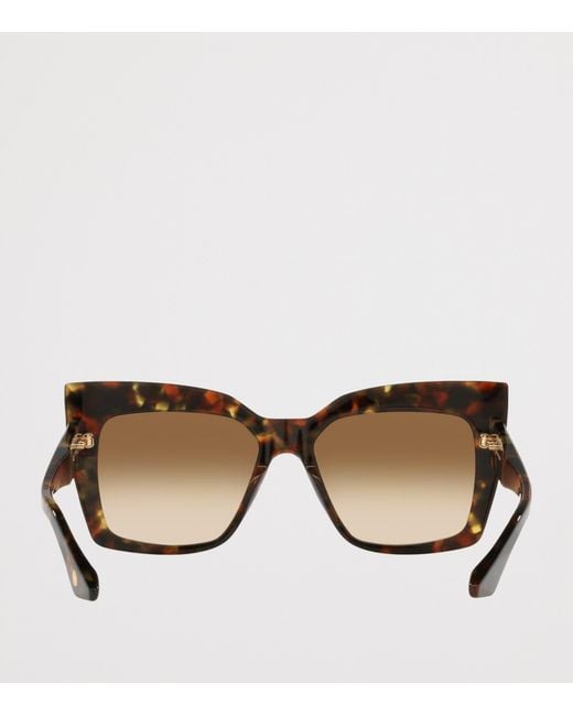 Dita Eyewear Brown Telemaker Cat Eye Sunglasses