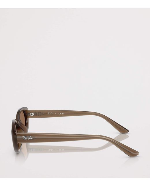 Ray-Ban Brown Injected Oval Sunglasses
