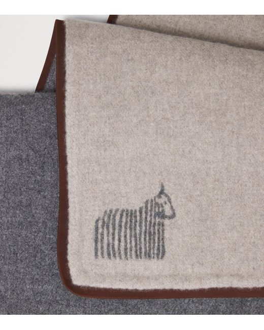 Colombo Gray Cashmere Nubuck-Trim Scarf for men