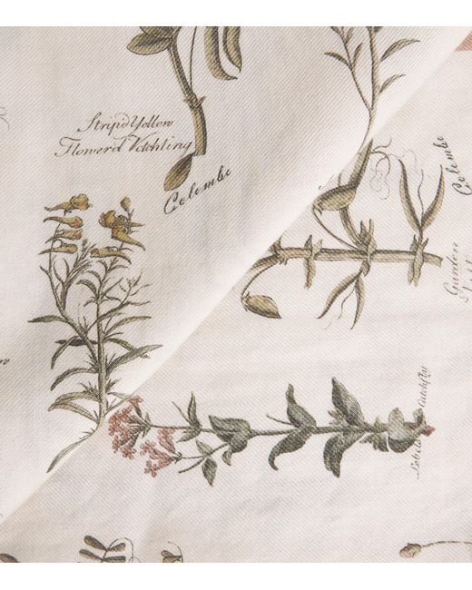 Colombo Natural Cashmere-Silk Printed Scarf