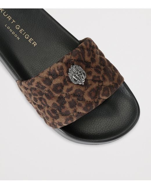 Kurt Geiger Brown Meena Eagle Slides