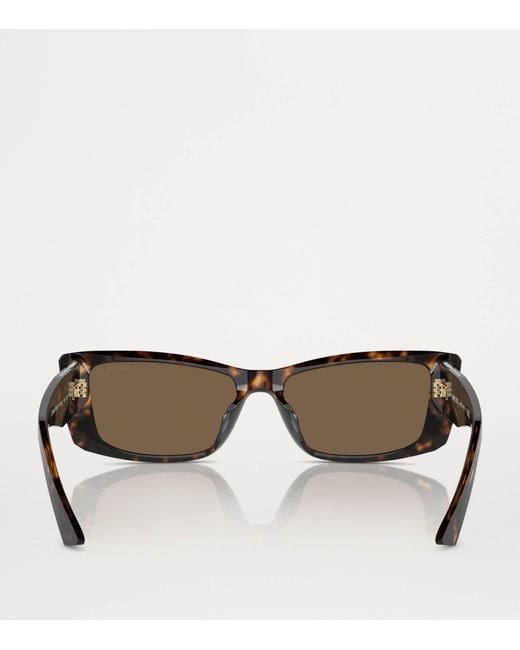 Jimmy Choo Brown Acetate Jc5002Bu Sunglasses