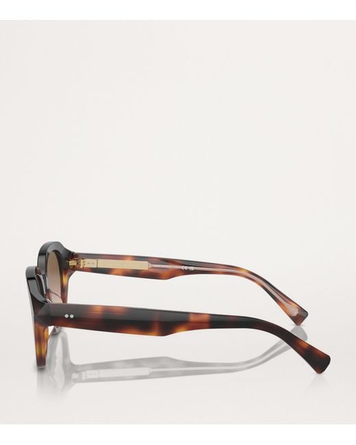 Brunello Cucinelli Brown Titanium Bc4004S Sunglasses
