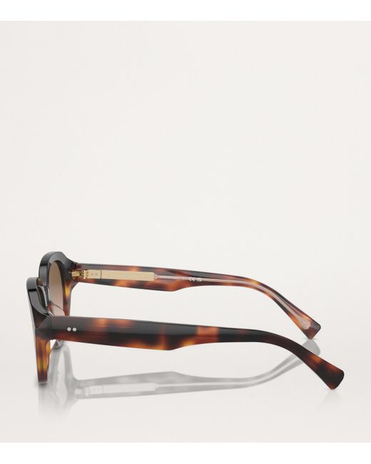 Brunello Cucinelli Brown Titanium Bc4004S Sunglasses