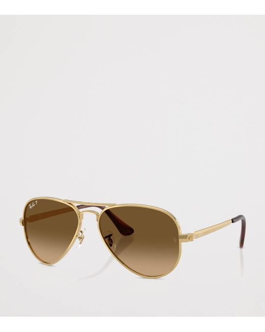 Ray-Ban Brown Rb3925 Aviator Max Sunglasses