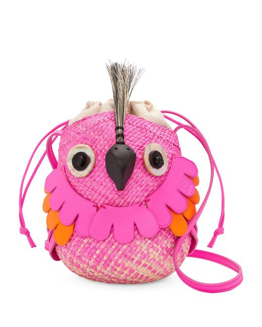 Loewe Pink X Paula's Ibiza Iraca Palm Bird Cross-body Bag
