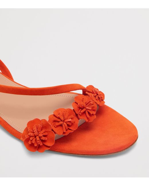 Malone Souliers Red Suede Serra Sandals