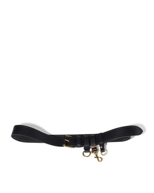 Miu Miu Black Calfskin Buckle-Detail Belt