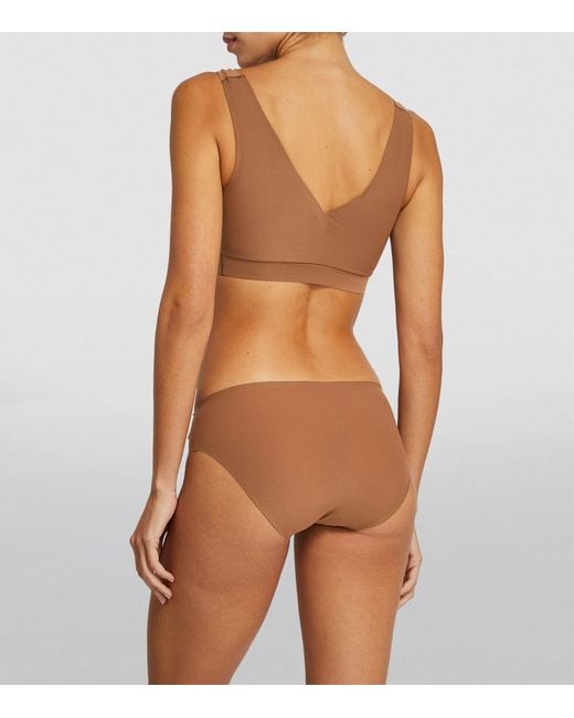 Chantelle Brown Softstretch Briefs