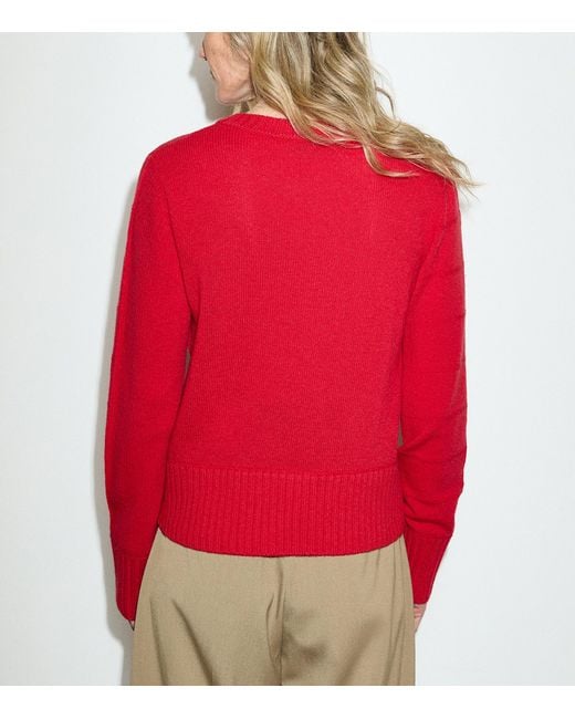 MAX&Co. Red Virgin Wool Sweater
