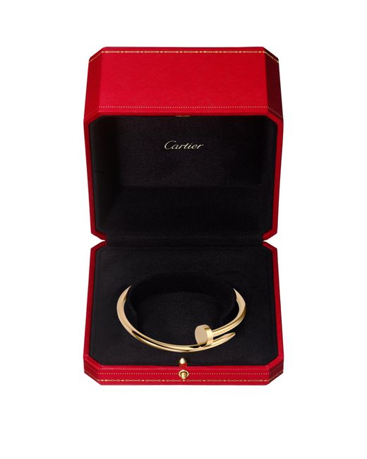 Cartier Metallic Juste Un Clou Bracelet