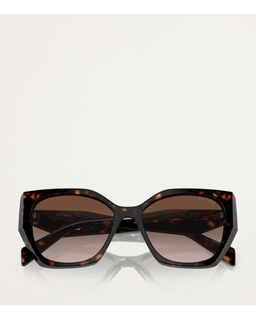 Prada Brown Acetate Pr 19Zs Sunglasses