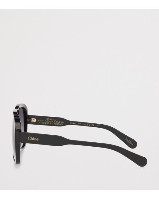 Chloé Gray Acetate Ch0331S Sunglasses