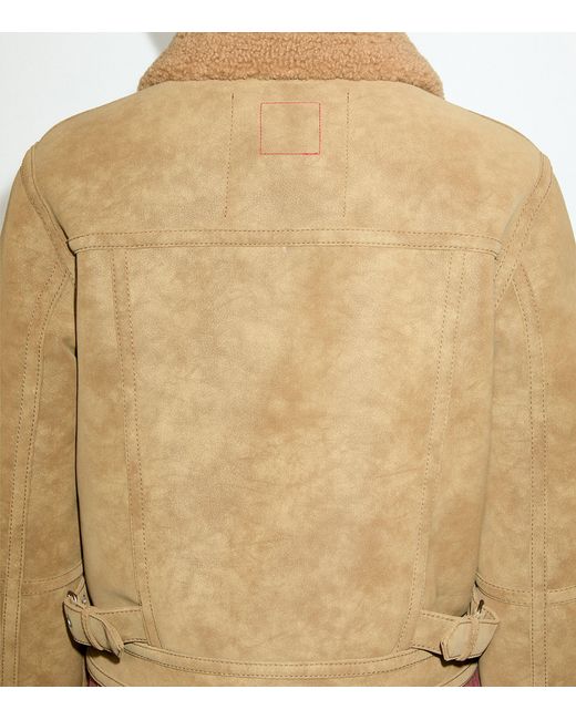 MAX&Co. Brown Faux Shearling Collar Aviator Coat
