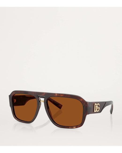 Dolce & Gabbana Brown Acetate Pilot Sunglasses for men