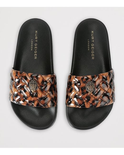 Kurt Geiger Brown Meena Eagle Slides