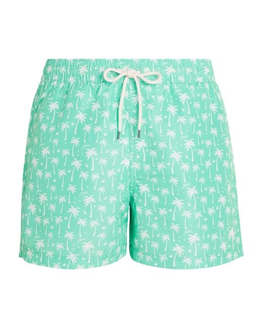 Polo Ralph Lauren Green Palm Trees Traveller Swim Shorts for men