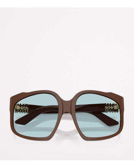 Miu Miu Brown Acetate Oversized Sunglasses