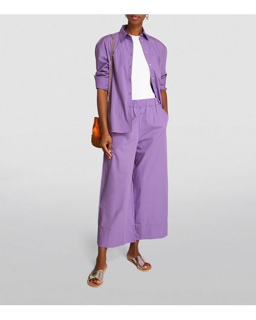 MAX&Co. Purple Cotton Poplin Cropped Trousers