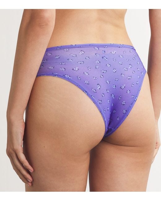 Skims Purple Fits Everybody Cheeky Briefs