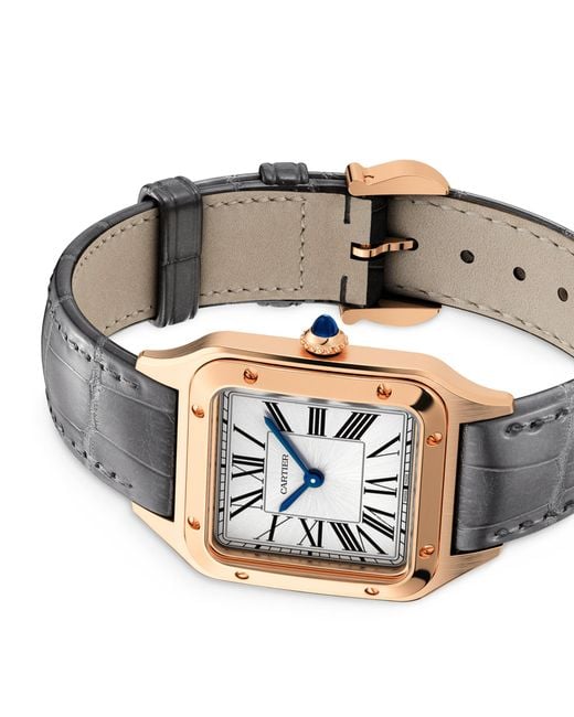 Cartier Gray Rose Santos-Dumont Watch for men