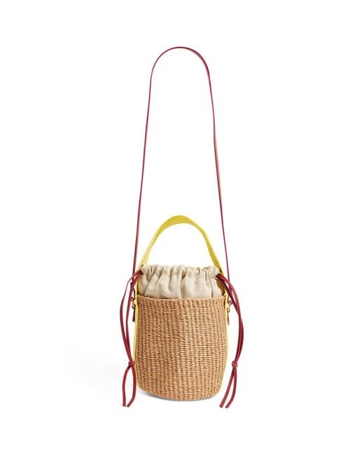 Chloé Small Woody Basket Bag in Natural | Lyst Canada