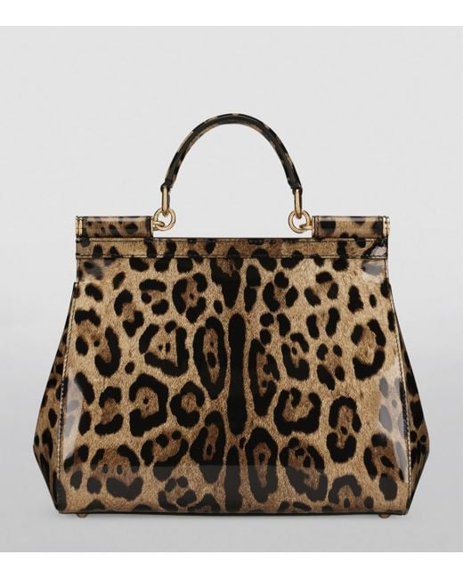 Dolce & Gabbana Brown Kim Dolce&Gabbana Medium Leopard Print Sicily Bag