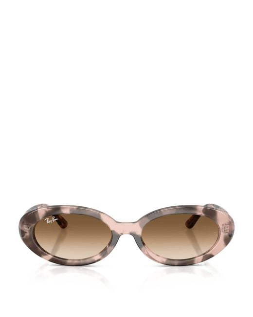 Ray-Ban Brown Rb2223 Sunglasses