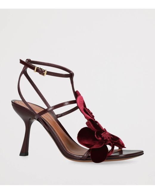 Zimmermann Brown Leather Orchid Heeled Sandals 85
