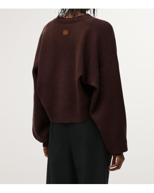 Loewe Brown Cashmere-Blend Cardigan