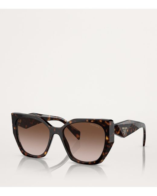 Prada Brown Acetate Pr 19Zs Sunglasses