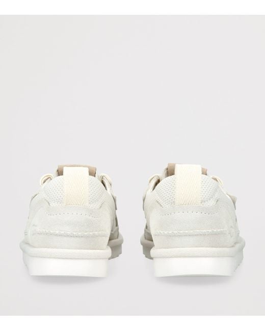 Ugg White Suede Minimel Sneakers
