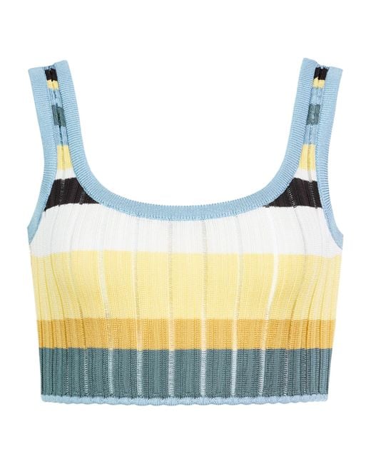 Alaïa Blue Stripe Crop Top