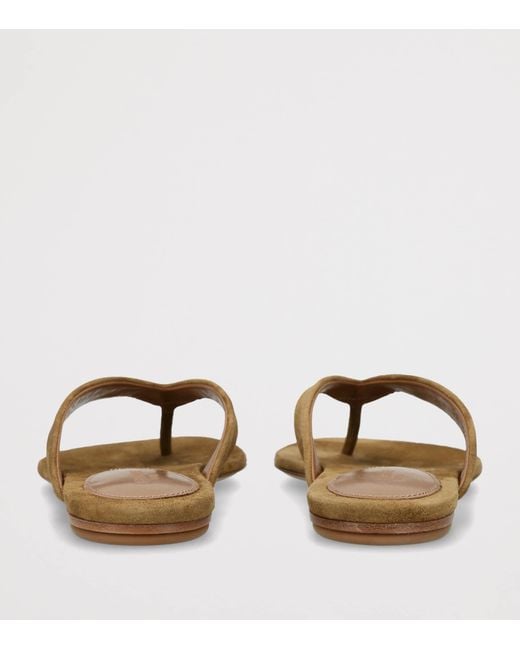 Le Monde Beryl Brown Suede Flip Flops