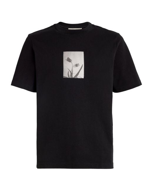 Rohe Black Organic Cotton Tulip T-Shirt for men