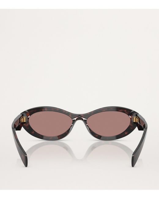 Prada Brown Acetate Pr26Zs Sunglasses