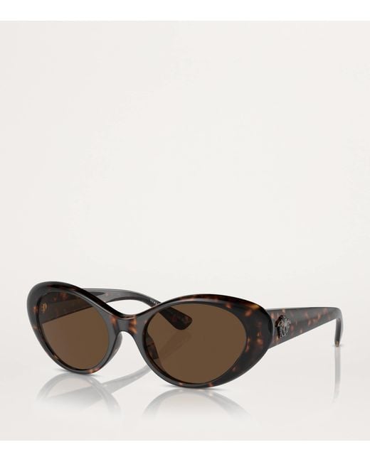 Versace Brown Injected 0Ve4455U Sunglasses