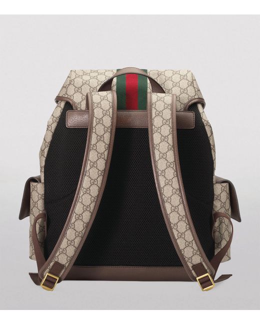 Gucci Brown Ophidia Medium Backpack for men