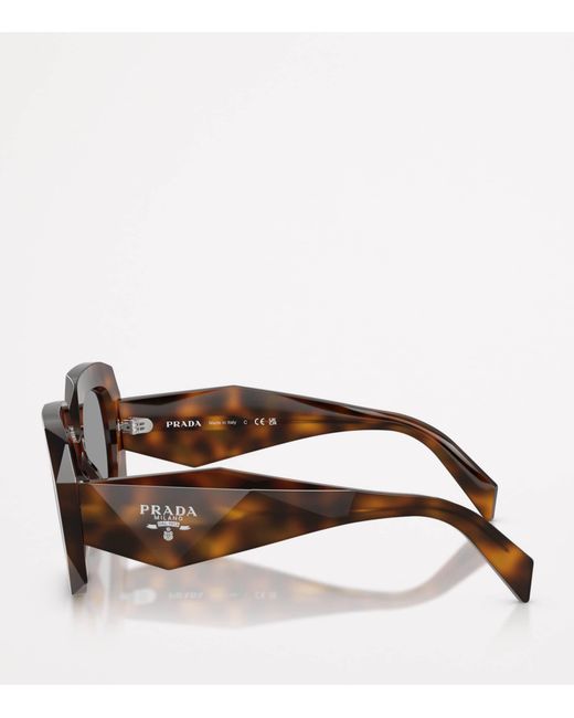 Prada Brown Acetate Pr B23S Sunglasses